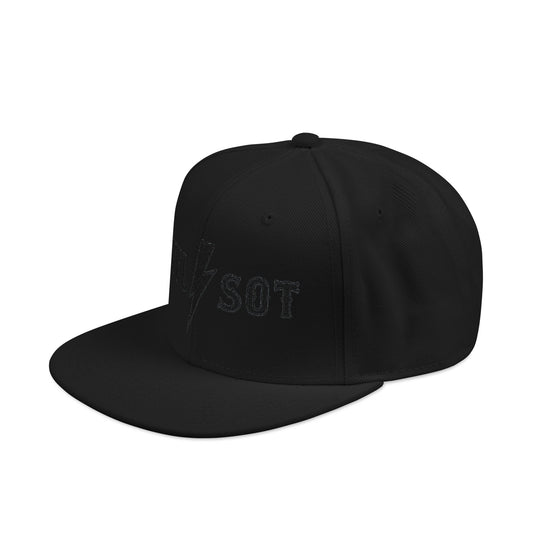 Support 1920 Snapback