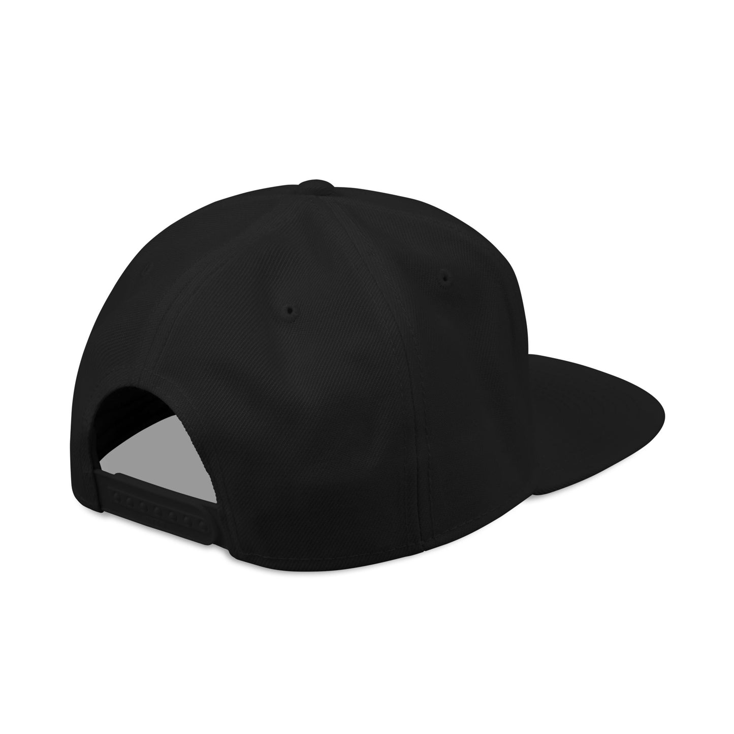 Support 1920 Snapback